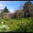  Terreno (Parcela) en venta en Biobío, Quillego, Biobío, Biobío