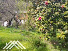  Terreno (Parcela) en venta en Biobío, Quillego, Biobío, Biobío