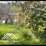  Land for sale in Quillego, Biobío, Quillego, Biobío, Biobío