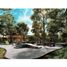  Land for sale in Tixkokob, Yucatan, Tixkokob