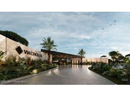  Land for sale in Tixkokob, Yucatan, Tixkokob