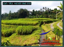  Land for sale in Penebel, Tabanan, Penebel