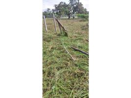  Terreno (Parcela) en venta en Chame, Panamá Oeste, Las Lajas, Chame