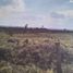  Land for sale in Carmen, Campeche, Carmen