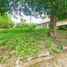  Land for sale in Mlati, Sleman, Mlati