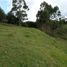  Grundstück zu verkaufen in Rionegro, Antioquia, Rionegro, Antioquia