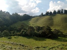  Grundstück zu verkaufen in Rionegro, Antioquia, Rionegro, Antioquia