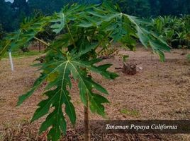  Land for sale in Bogor Selatan, Bogor, Bogor Selatan