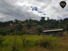 7 Schlafzimmer Haus zu verkaufen in Santa Isabel, Azuay, Abdon Calderon La Union