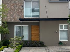 Zapopan, 할리 스코PropertyTypeNameBedroom, Zapopan, 할리 스코