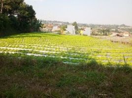  Land for sale in Ngamprah, Bandung, Ngamprah