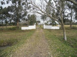 3 Habitación Casa en alquiler en Corrientes, San Luis Del Palmar, Corrientes