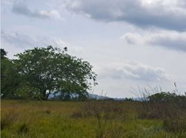 Studio Villa zu verkaufen in San Lorenzo, Chiriqui, Boca Chica