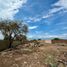  Land for sale in Ixtlahuacan De Los Membrillos, Jalisco, Ixtlahuacan De Los Membrillos