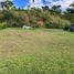  Land for sale in Pereira, Risaralda, Pereira