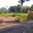  Terreno (Parcela) en venta en Seyegan, Yogyakarta, Seyegan, Sleman