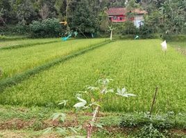  Land for sale in Purwakarta, West Jawa, Purwakarta, Purwakarta