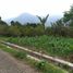  Land for sale in Malang Regency, East Jawa, Bumiaji, Malang Regency