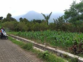  Land for sale in Malang Regency, East Jawa, Bumiaji, Malang Regency