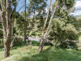  Grundstück zu verkaufen in Retiro, Antioquia, Retiro