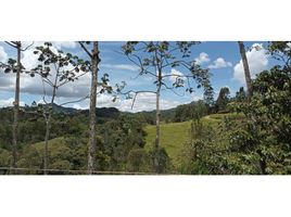  Terreno (Parcela) en venta en Retiro, Antioquia, Retiro