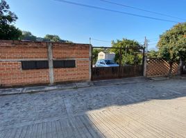 2 Bedroom House for sale in Amacuzac, Morelos, Amacuzac