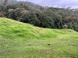  Terreno (Parcela) en venta en Medellín, Antioquia, Medellín, Antioquia