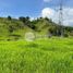  Land for sale in Caldas, Manizales, Caldas