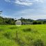  Land for sale in Caldas, Manizales, Caldas