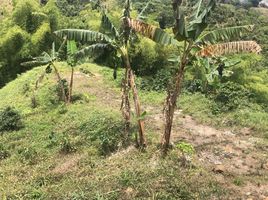  Grundstück zu verkaufen in Dosquebradas, Risaralda, Dosquebradas