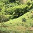  Grundstück zu verkaufen in Dosquebradas, Risaralda, Dosquebradas