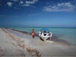  Grundstück zu verkaufen in Rio Lagartos, Yucatan, Rio Lagartos