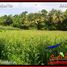  Land for sale in Kerambitan, Tabanan, Kerambitan