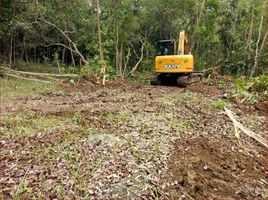  Land for sale in Sedayu, Bantul, Sedayu