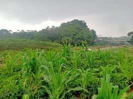  Grundstück zu verkaufen in Sumedang, West Jawa, Cikeruh