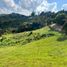 Terrain à vendre à Guarne, Antioquia, Guarne, Antioquia