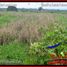  Land for sale in Selemadeg, Tabanan, Selemadeg