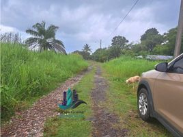  Grundstück zu verkaufen in Boquete, Chiriqui, Alto Boquete