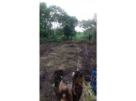  Terrain for sale in Boquete, Chiriqui, Alto Boquete, Boquete