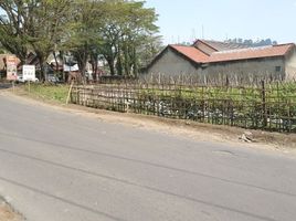  Terreno (Parcela) en venta en Lembang, West Jawa, Lembang, Bandung, West Jawa