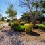  Terreno (Parcela) en venta en Huitzilac, Morelos, Huitzilac