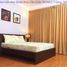 5 chambre Villa for sale in Quan Hoa, Cau Giay, Quan Hoa