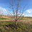 Studio House for sale in Jimenez, Chihuahua, Jimenez
