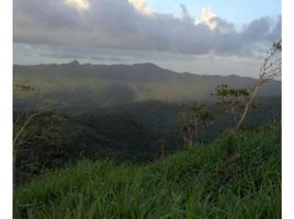 Estudio Casa en venta en Capira, Panamá Oeste, El Cacao, Capira