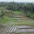  Land for sale in Penebel, Tabanan, Penebel