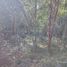  Land for sale in Seye, Yucatan, Seye