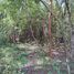  Land for sale in Seye, Yucatan, Seye
