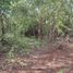  Land for sale in Seye, Yucatan, Seye
