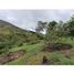  Land for sale in Marinilla, Antioquia, Marinilla