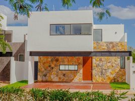 3 Schlafzimmer Wohnung zu verkaufen in Conkal, Yucatan, Conkal